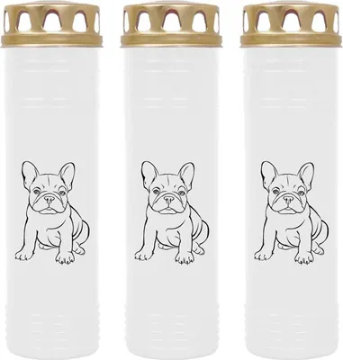 Zdjęcie produktu dla Świeca Grave biała 3-pak, czas palenia: 170 godzin (na świecę), motyw: buldog