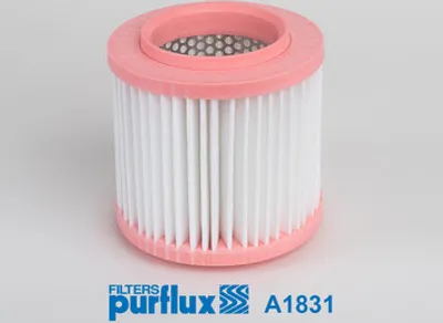 Produktbild von Luftfilter PURFLUX A1831 für AUDI A8 (4E2, 4E8) Filtereinsatz
