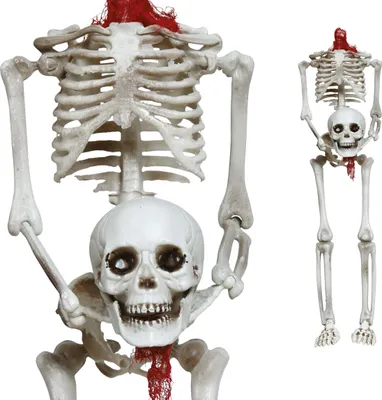 Produktbild von Halloween Skelett Hängefigur Grusel Deko Horrorszene Schädel Gruseliges Design Schaurig Realistisch Körper Horror Fasching Dekoidee Party Dekoration