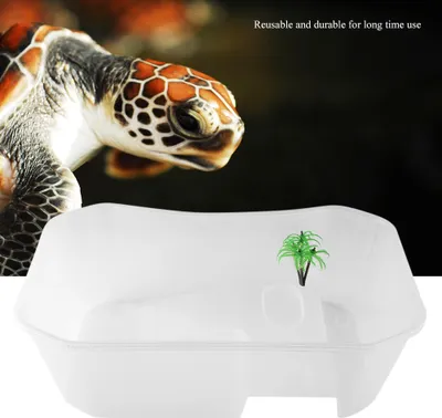 Zdjęcie produktu dla Zbiornik na ryby, otwarty zbiornik na ryby, plastikowy zbiornik na ryby, mały zbiornik na ryby, zbiornik na ryby z platformą kąpielową