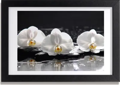 Produktbild von Bild 30x20 MDF-Rahmen, Wandkunst Orchidee