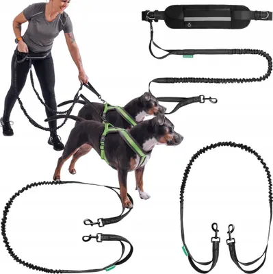 Image de Fit4med | Ceinture - 2x Laisses élastiques - Noir - Jusqu'à 50 Kg - Ceinture de jogging pour chiens - Longueur 2 M