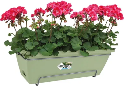 Produktbild von Blumentopf Elho 50 x 28 x 19 cm