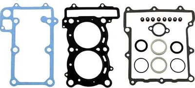 Productafbeelding van Cilinder voor Yamaha XP 500 T-Max, bouwjaar 2001 - 2002