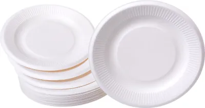 Produktbild von GRÄWE Teller 25 Stück aus Zuckerrohr 18 cm