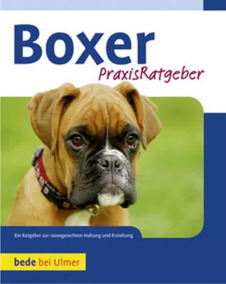 Image de Boxer