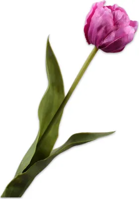 Produktbild von Silk-ka Künstliche Blumen, Seidenblumen, Tulpenstiel, Lila, 47 cm, pro 2 Stück