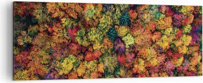 Produktbild von Bild auf Leinwand - Leinwandbild - Einteilig - Herbst Perspektive Vogel - 140x50cm - Wand Bild - Wanddeko - Wandbilder - Leinwanddruck - Bilder - Wanddekoration - Leinwand bilder - AB140x50-4478