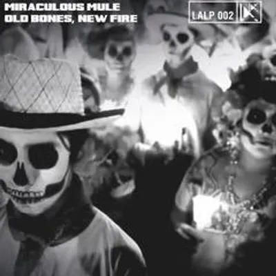 Produktbild von Old Bones,New Fire