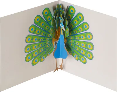 Produktbild von Pop-Up Grußkarte Pfau
