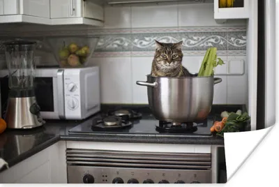 Produktbild von MuchoWow® Poster Katze - Pfanne - Küche 120x80 cm - Bilder