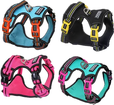 Produktbild von DOOG Neotech Harness Geschirr, Größe:M, Farbe:black / yellow