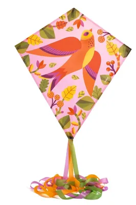 Image de Cerf-volant Oiseau, Djeco