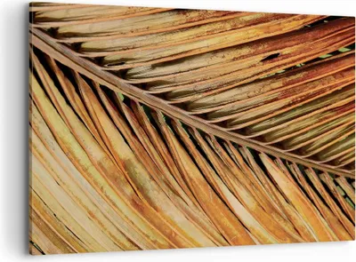 Produktbild von Bild auf Leinwand - Leinwandbild - Einteilig - Orange Blatt Tropisch - 120x80cm - Wand Bild - Wanddeko - Wandbilder - Leinwanddruck - Bilder - Wanddekoration - Leinwand bilder - AA120x80-4876