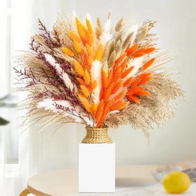 100er Set getrocknete Pampasblumen, 44 cm, flauschig, für Boho-Deko