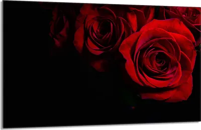 Image de Plaque de recouvrement pour cuisinière 80x52cm en 1 partie Couverture de plaque vitrocéramique Protection anti-éclaboussures, Rose Rouge