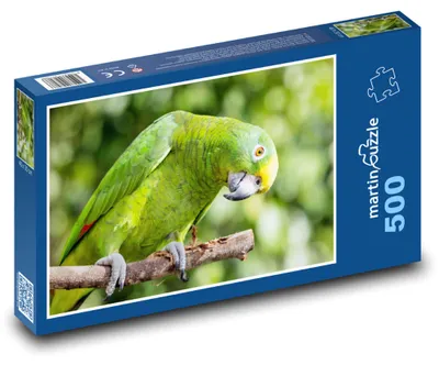 Obrázok produktu pre Puzzle 500 Papagáj - Amazónik žltočelý - martinpuzzle