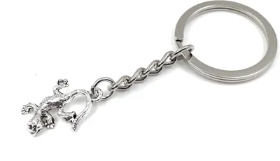 Produktbild von Onwomania Kleiner Echse Gecko Schlüsselanhänger Metall Glücksbringer in Alu Geschenkbox, ideal zum Verschenken