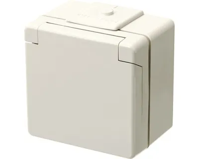 Produktbild von Jung 620 W Feuchtraum Steckdose Aufputz IP44 grau WG600