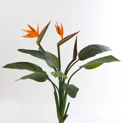 Produktbild von artplants.de Künstlicher Strelizie Busch Nubia, 8 Blätter, 2 Blüten, orange, 100cm - Kunstpflanze - künstliche Strelitzie