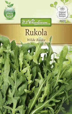 Produktbild von Rukola Wilde Rauke | Raukesamen von N.L. Chrestensen