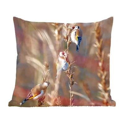 Produktbild von MuchoWow® Zierkissen Sofakissen Wohnzimmer Dekokissen 45x45 cm Vögel - Äste - Wald - Schlafpolster - Polster für das Sofa