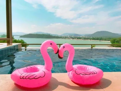 Imagen del producto de Soporte para bebidas | Piscina | Inflable | 3 unidades | Flamenco