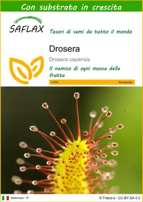 Immagine prodotto di SAFLAX  - Drosera - 200 semi - Con substrato - Drosera