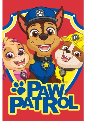 Produktbild von Paw Patrol Team Hand- & Gesichtstuch 30x50 cm