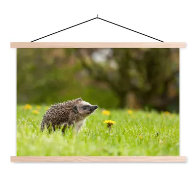 Produktbild von MuchoWow® Textilposter Igel im Gras 120x80 cm mit holzfarbenen Rahmen - Aufhängeset