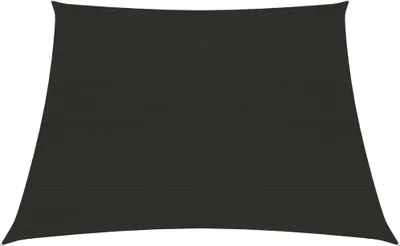 Produktbild von The Living Store Sonnensegel 160 g/m² Schwarz 4/5x3 m HDPE