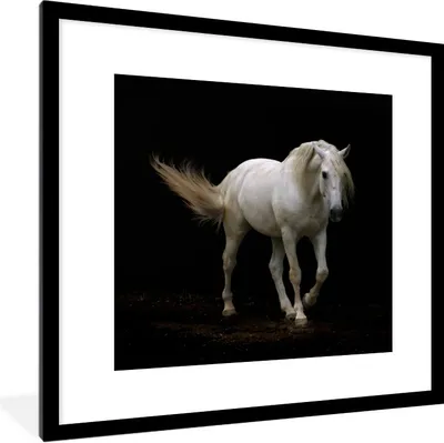 Produktbild von MuchoWow® Gerahmtes Poster Pferde - Nutztiere - Schwarz 40x40 cm - Poster mit Schwarzem Bilderrahmen Wandposter Rahmen Foto Bilder - Poster - Plakat im Rahmen
