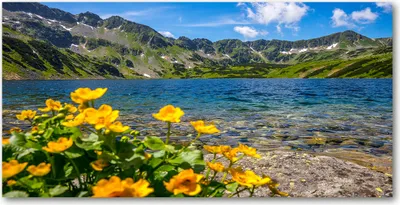 Produktbild von Tulup Glas-Bild -140x70- Wandkunst Dekorative Wand für Küche & Wohnzimmer - Landschaften - See in den Bergen - Mehrfarbig