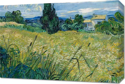 Immagine prodotto di Quadro 60x40 cm  Campo di grano verde con cipresso, Van Gogh Vintage