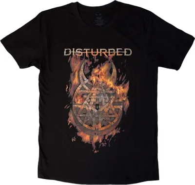 Produktbild von Disturbed Burning Belief Black S T-Shirt