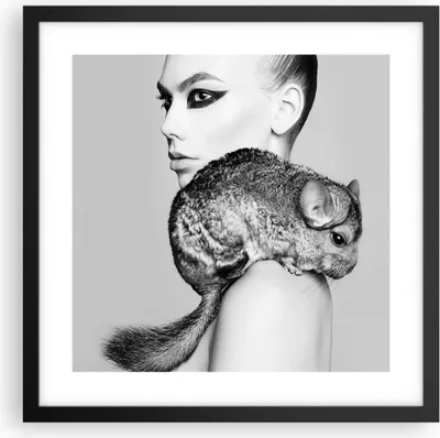 Produktbild von Gerahmtes Poster - Schwarzer Rahmen - Chinchilla Frau Porträt - 40x40 cm - Wand Bild - Wanddeko - Wandbilder - Wandposter - Bilderrahmen - Bilder - Kunstdruck - Wandbild - P2BAC40x40-4278