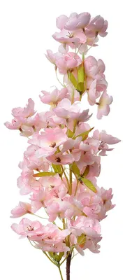 Imagen del producto de Clayre & Eef, flor artificial, 98 cm, color rosa, plástico