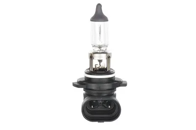 Obrázok produktu pre H10 BOSCH autožiarovky 12V 42W 1 987 302 083