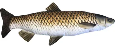 Obrázok produktu pre Gaby Vankúš Amur 75cm