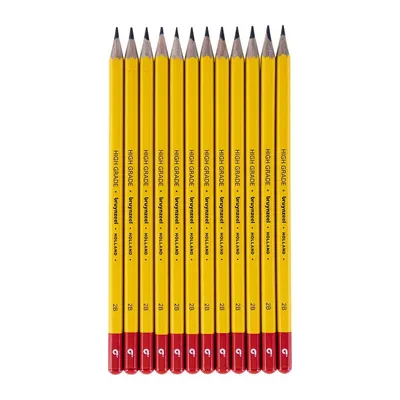 Image de Bruynzeel Bruynzeel 12 crayons graphite 2B