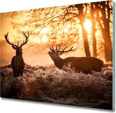 Produktbild von Glas Herdabdeckplatte 60x52 cm Spritzschutz Glasabdeckplatte Schneidebrett Hirsch Sonnenaufgang