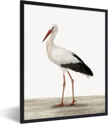 Produktbild von MuchoWow® Gerahmtes Poster Storch - Vogel - Tiere - Jungen - Kinder - Mädchen 60x80 cm - Poster mit Schwarzem Bilderrahmen Wandposter Rahmen Foto Bilder - Premium - Wanddeko Wohnzimmer