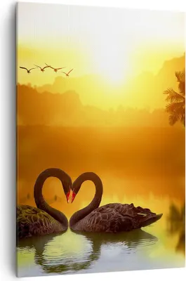 Produktbild von Bild auf Leinwand - Leinwandbild - Einteilig - Schwan Wasser Paar - 70x100cm - Wand Bild - Wanddeko - Wandbilder - Leinwanddruck - Wanddekoration - Leinwand bilder - Wandbild - PA70x100-3855