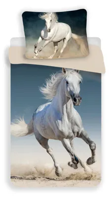 Produktbild von Jerry Fabrics 18BS137, Deckenbezug im Lieferumfang enthalten, Kissenbezug enthalten
