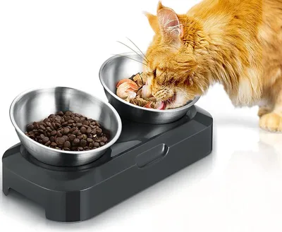 Produktbild von Doppelt erhöhte Edelstahlschüssel (2 x 400 ml), rutschfest und auslaufsicher, für Katzen/Hunde