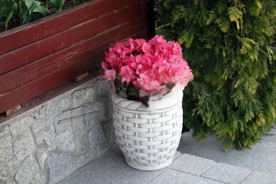 Produktbild von Blumenkübel Pflanz Kübel Dekoration Figur Blumentöpfe Garten Vasen Gefäss 204080