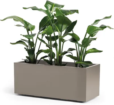 Produktbild von Pflanzkübel Greener KEBE Kunststoff 99,5 x 39,5 x 39,5 cm taupe inkl. Rollen und Zwischenboden
