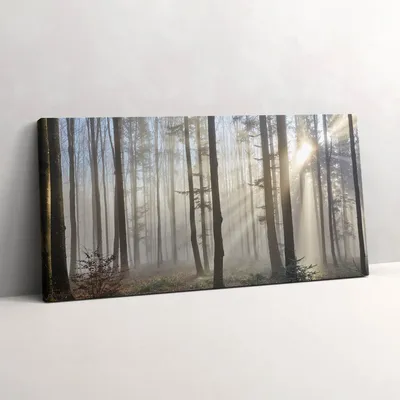 Produktbild von Wald im Nebel – Leinwandbild Wandbild – 100x50 cm – Leinwandbilder – Wandbilder – Schlafzimmer – Flur