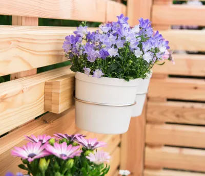 Zdjęcie produktu dla Hecht International 203700108-HE Uchwyt na doniczki z ziołami i kwiatami na balkon FLORES