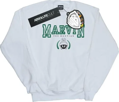 Produktbild von Looney Tunes - Sweatshirt für Damen BI24151 (XL) (Weiß)